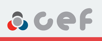 Логотип Щетки стартеров CEF