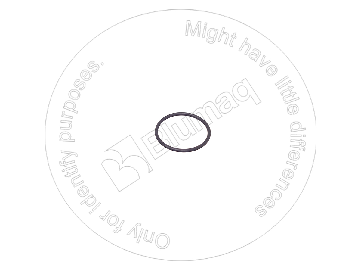 07000E3048 ST КОЛЬЦО КРУГЛОГО СЕЧЕНИЯ BLUMAQ