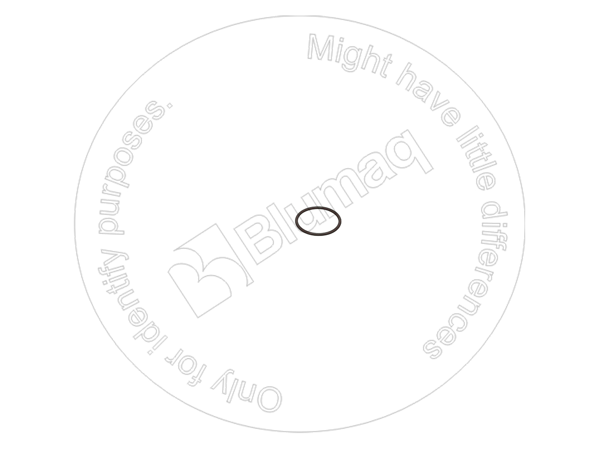 1069586 ST КОЛЬЦО КРУГЛОГО СЕЧЕНИЯ BLUMAQ