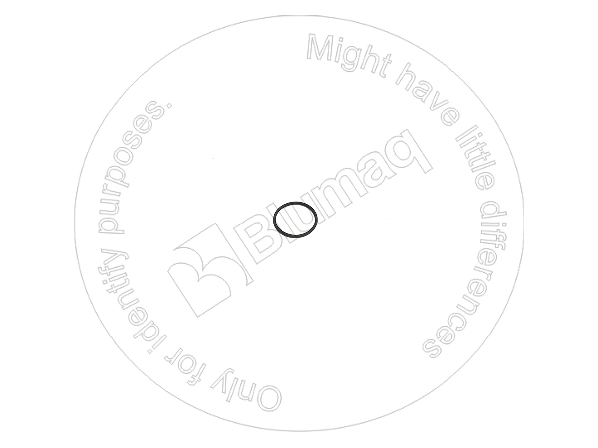 1662904 OE КОЛЬЦО КРУГЛОГО СЕЧЕНИЯ BLUMAQ