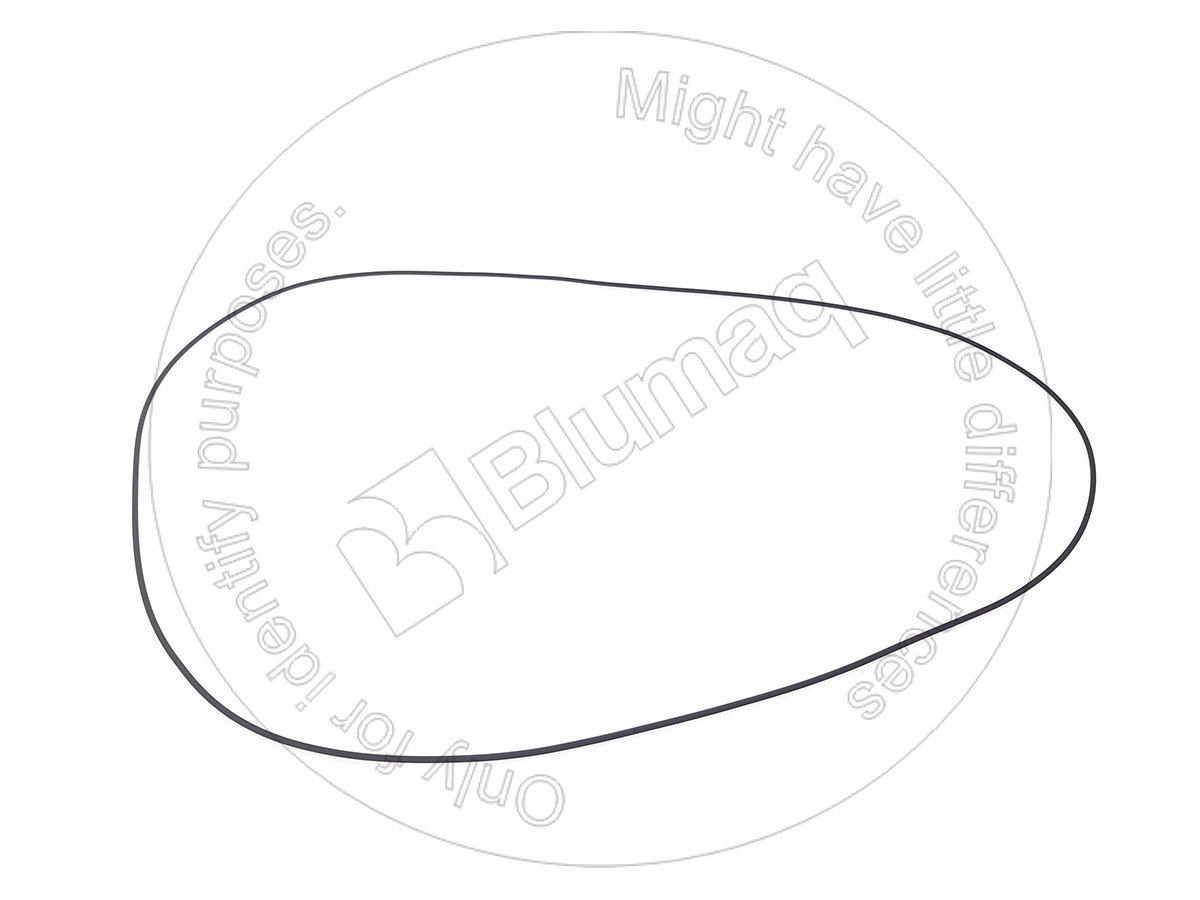 2082771660 ST КОЛЬЦО КРУГЛОГО СЕЧЕНИЯ BLUMAQ
