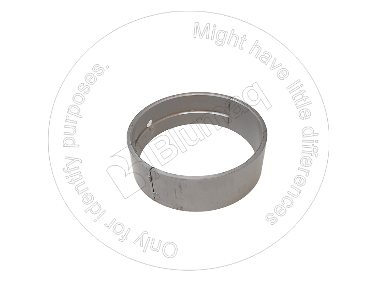 2170390 BQ ГЛАВНЫЙ ПОДШИПНИК BLUMAQ