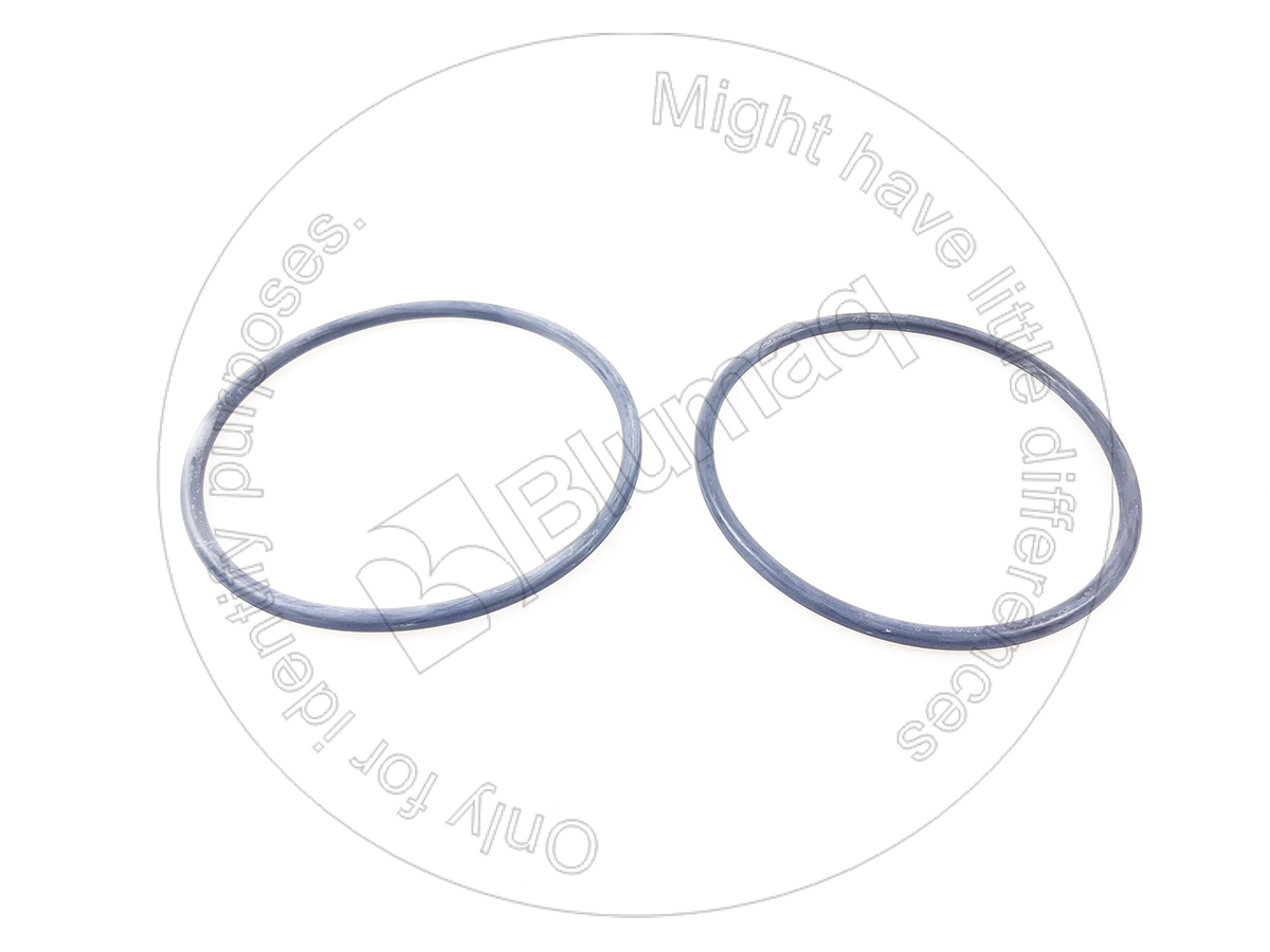 21N3016190 BQ НАБОР УПЛОТНИТЕЛЬНЫХ КОЛЕЦ BLUMAQ