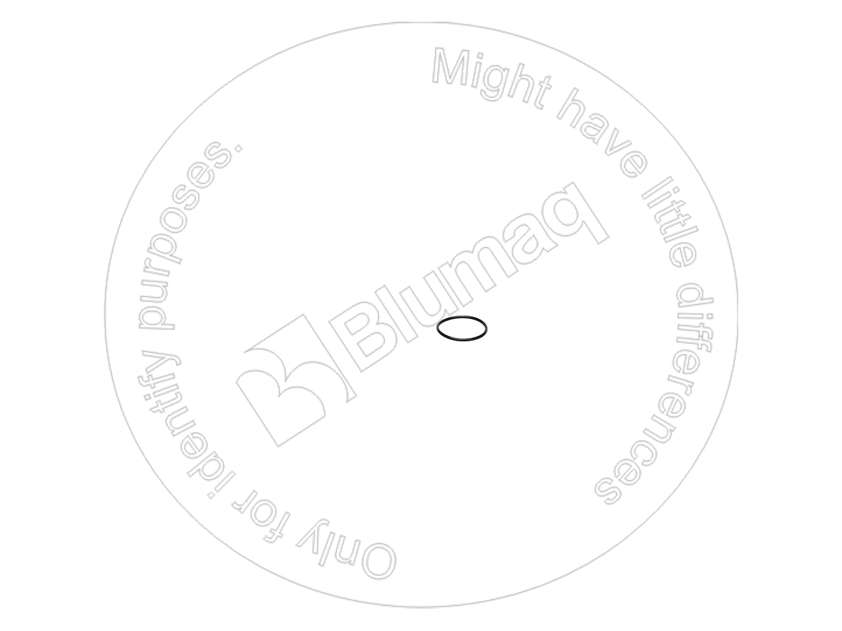 2198799 ST КОЛЬЦО КРУГЛОГО СЕЧЕНИЯ BLUMAQ