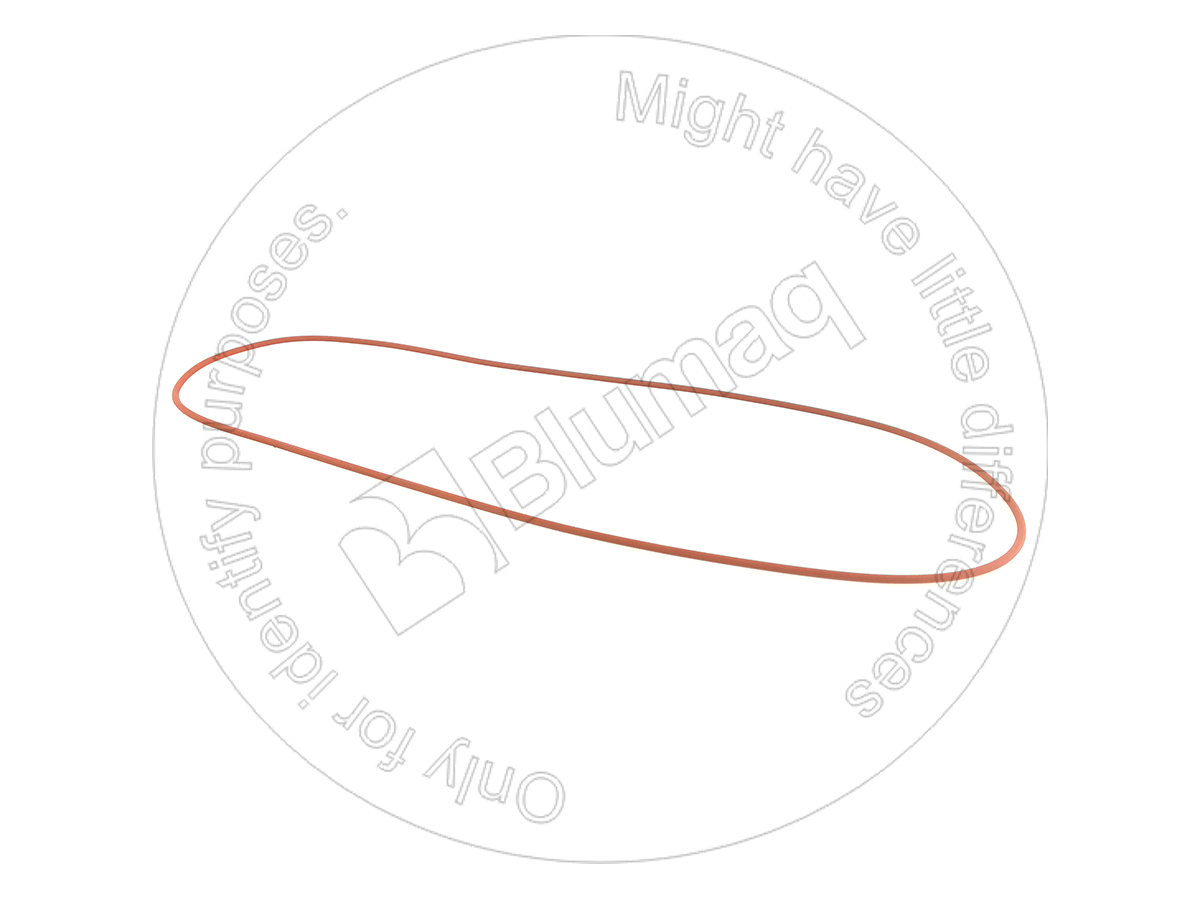 3634455 ST КОЛЬЦО КРУГЛОГО СЕЧЕНИЯ BLUMAQ