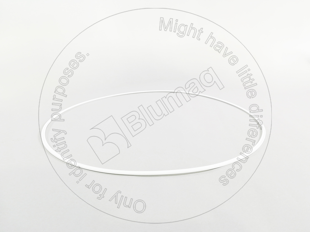 3T2509 ST СЕГМЕНТ BLUMAQ
