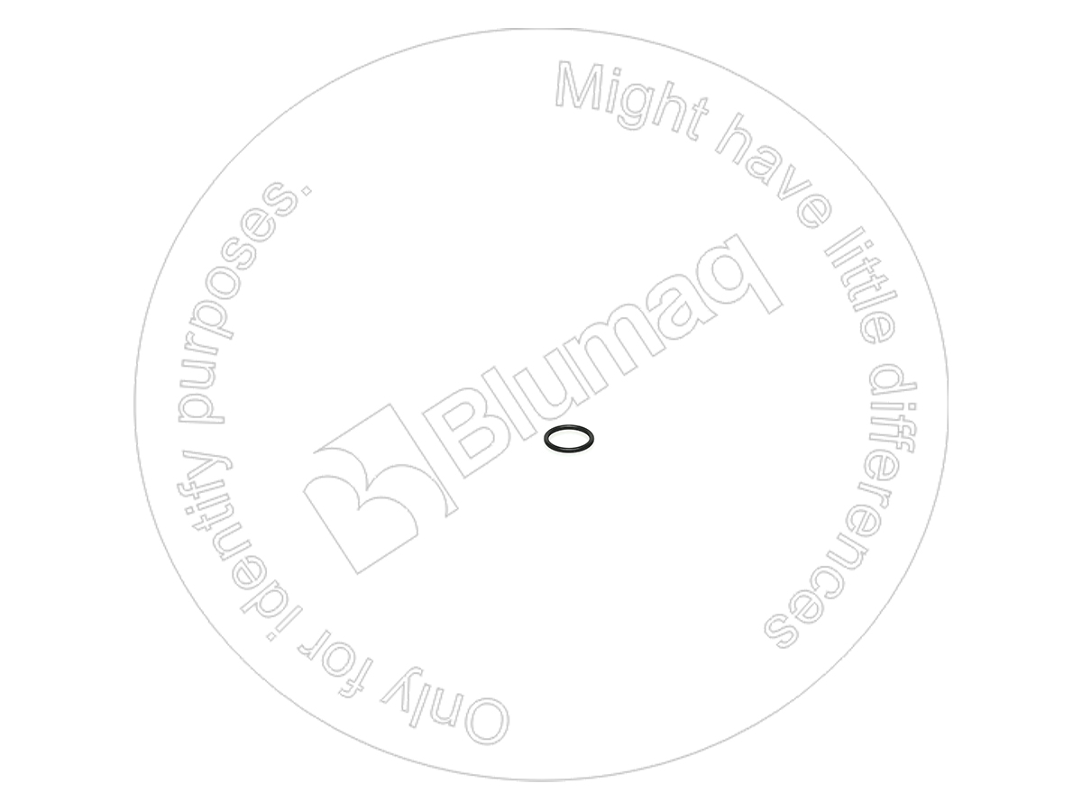 4DP18 ST КОЛЬЦО КРУГЛОГО СЕЧЕНИЯ BLUMAQ