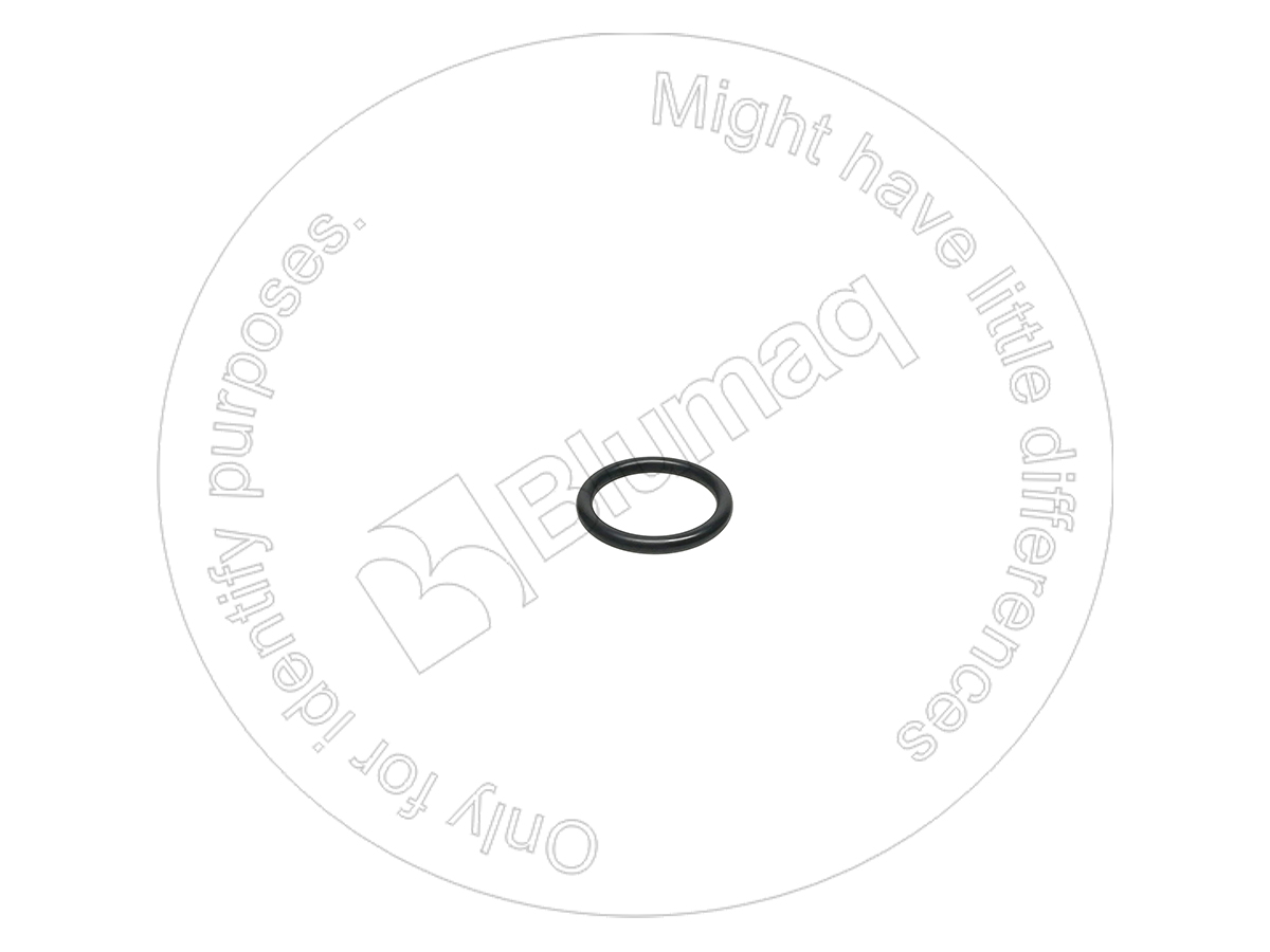 4F7389 ST УПЛОТНИТЕЛЬНОЕ КОЛЬЦО BLUMAQ