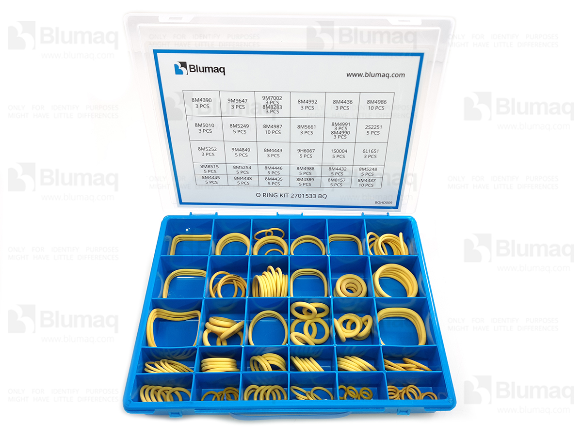 4C8253 BQ НАБОР УПЛОТНИТЕЛЬНЫХ КОЛЕЦ BLUMAQ