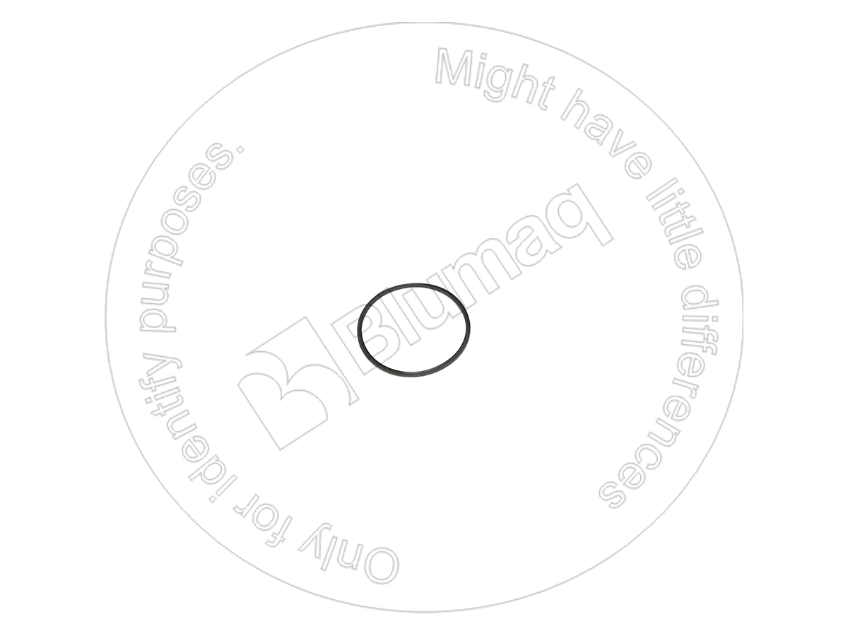 4J9225 ST ВОЗВРАТНОЕ КОЛЬЦО BLUMAQ
