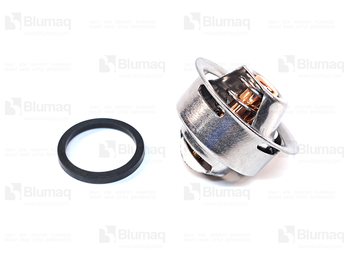 4I9220 ST ТЕРМОСТАТ BLUMAQ