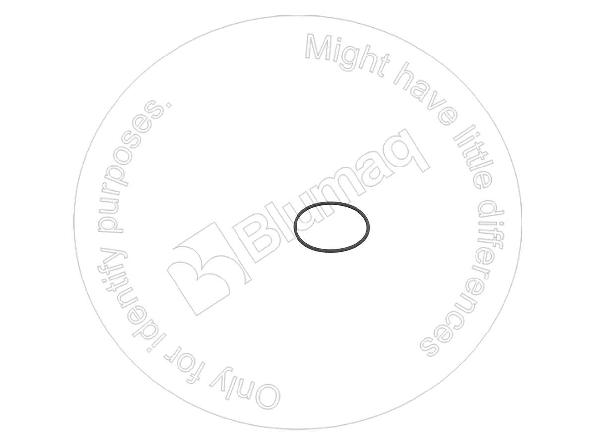 5P9658 ST КОЛЬЦО КРУГЛОГО СЕЧЕНИЯ BLUMAQ
