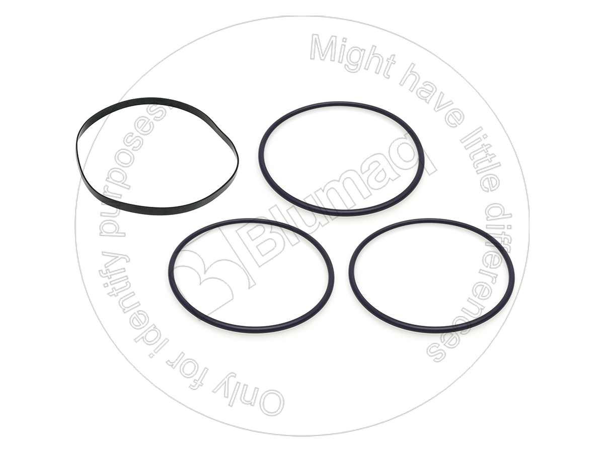 5P8768 BQ КОМПЛЕКТ УПЛОТНЕНИЙ BLUMAQ