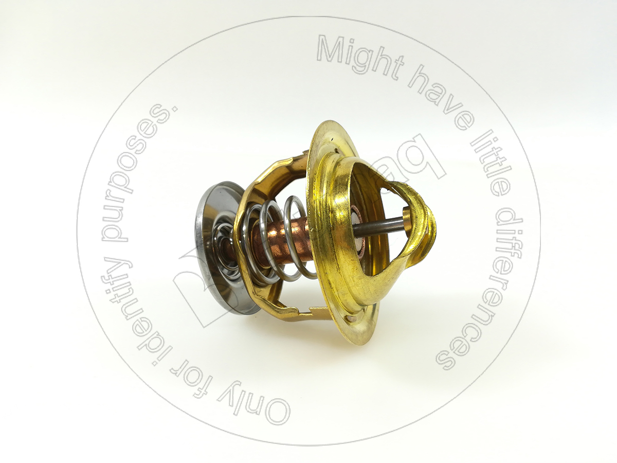 600-421-6310ST Термостат, Blumaq