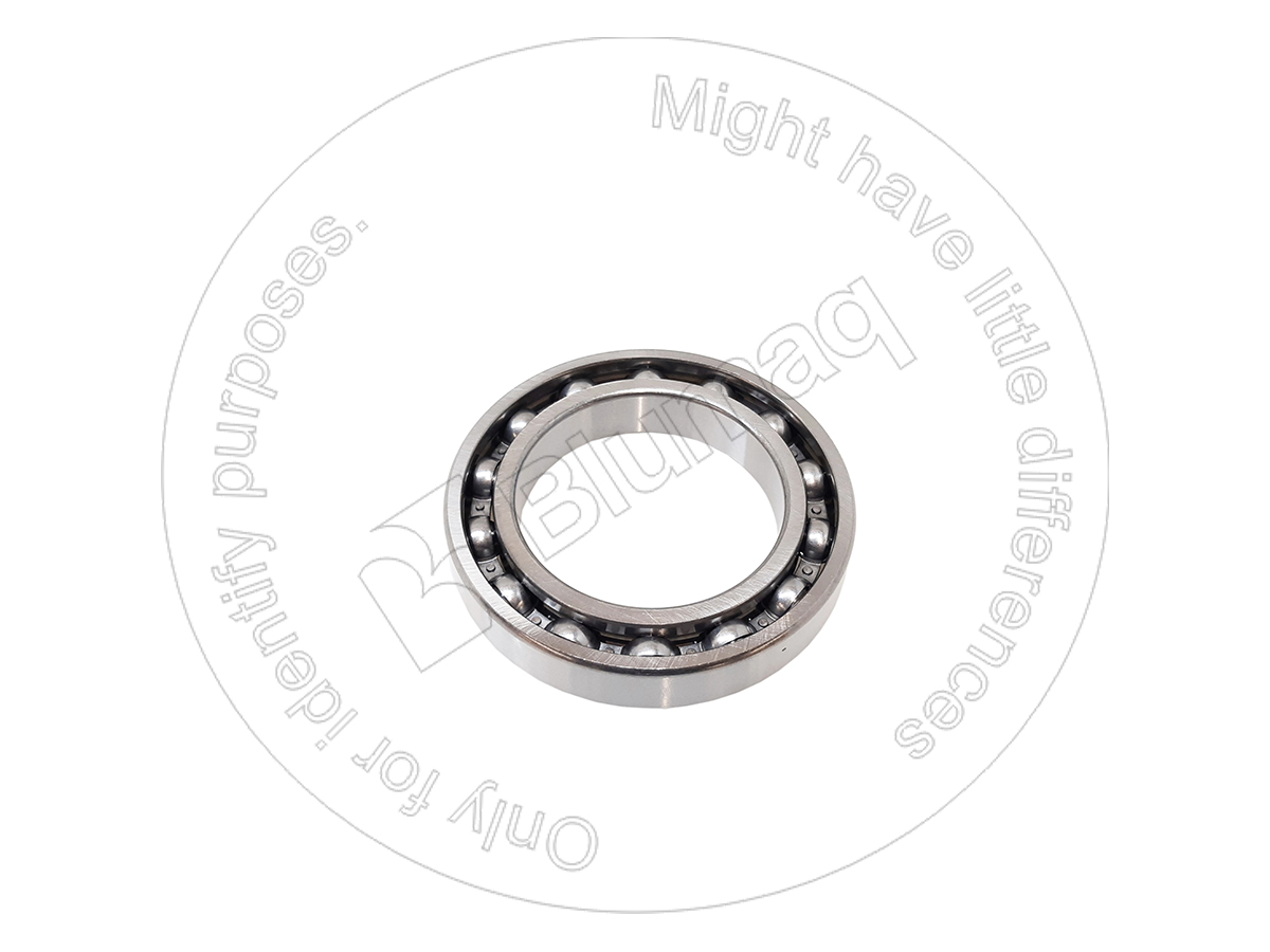 6015 OE ПОДШИПНИК BLUMAQ