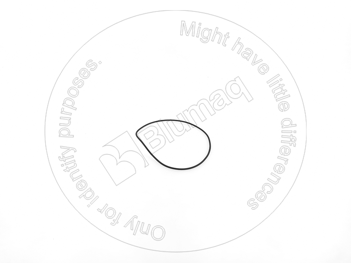6261611170 ST КОЛЬЦО КРУГЛОГО СЕЧЕНИЯ BLUMAQ