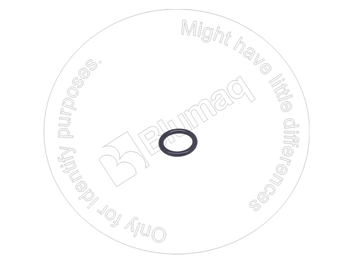 6251519910 ST КОЛЬЦО КРУГЛОГО СЕЧЕНИЯ BLUMAQ