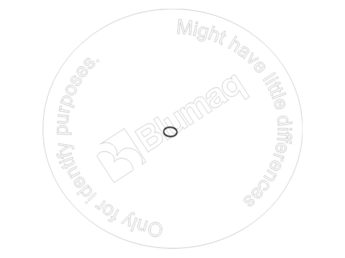 6731515290 ST КОЛЬЦО КРУГЛОГО СЕЧЕНИЯ BLUMAQ