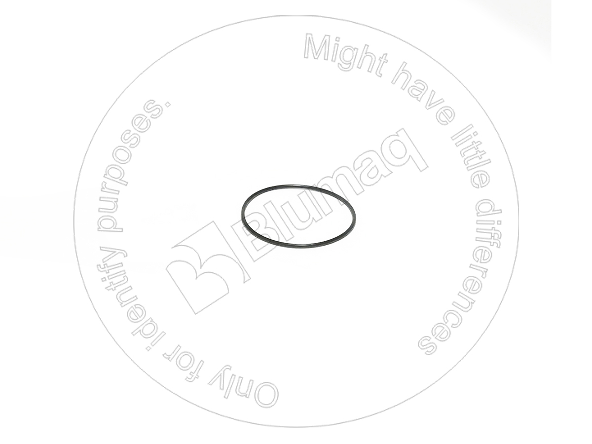 6741612120 BQ КОЛЬЦО КРУГЛОГО СЕЧЕНИЯ BLUMAQ