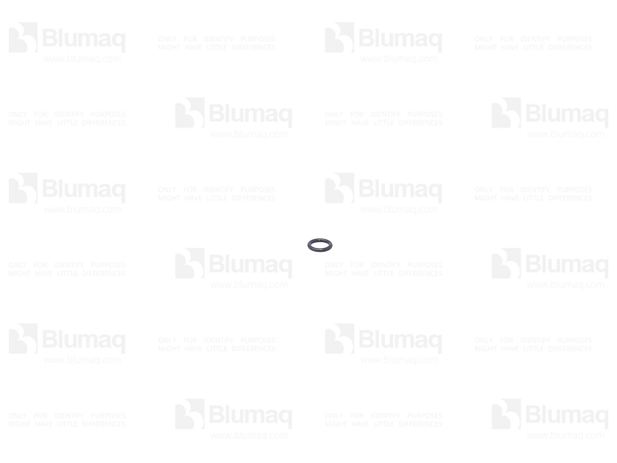 6754216250 ST КОЛЬЦО КРУГЛОГО СЕЧЕНИЯ BLUMAQ