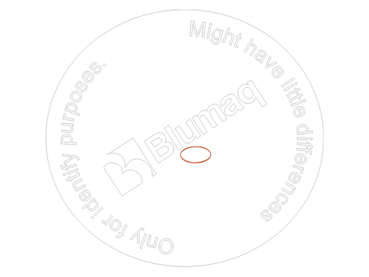 6738114370 ST КОЛЬЦО КРУГЛОГО СЕЧЕНИЯ BLUMAQ