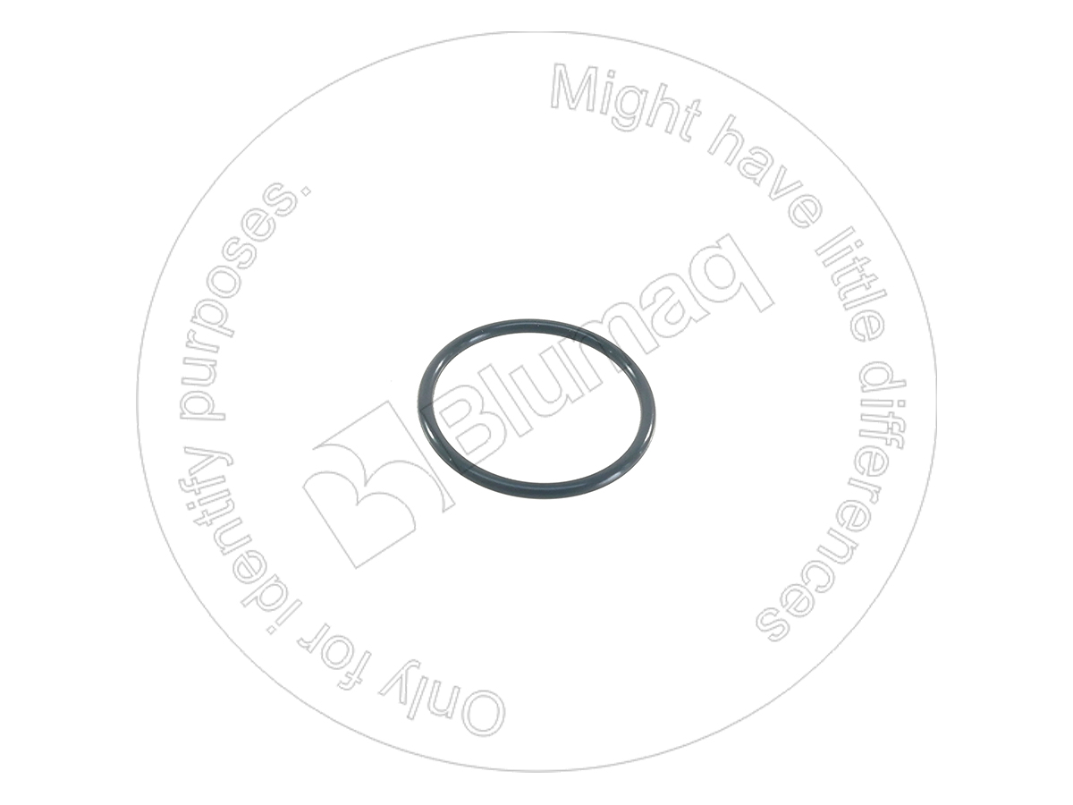 6743519950 OE КОЛЬЦО КРУГЛОГО СЕЧЕНИЯ BLUMAQ