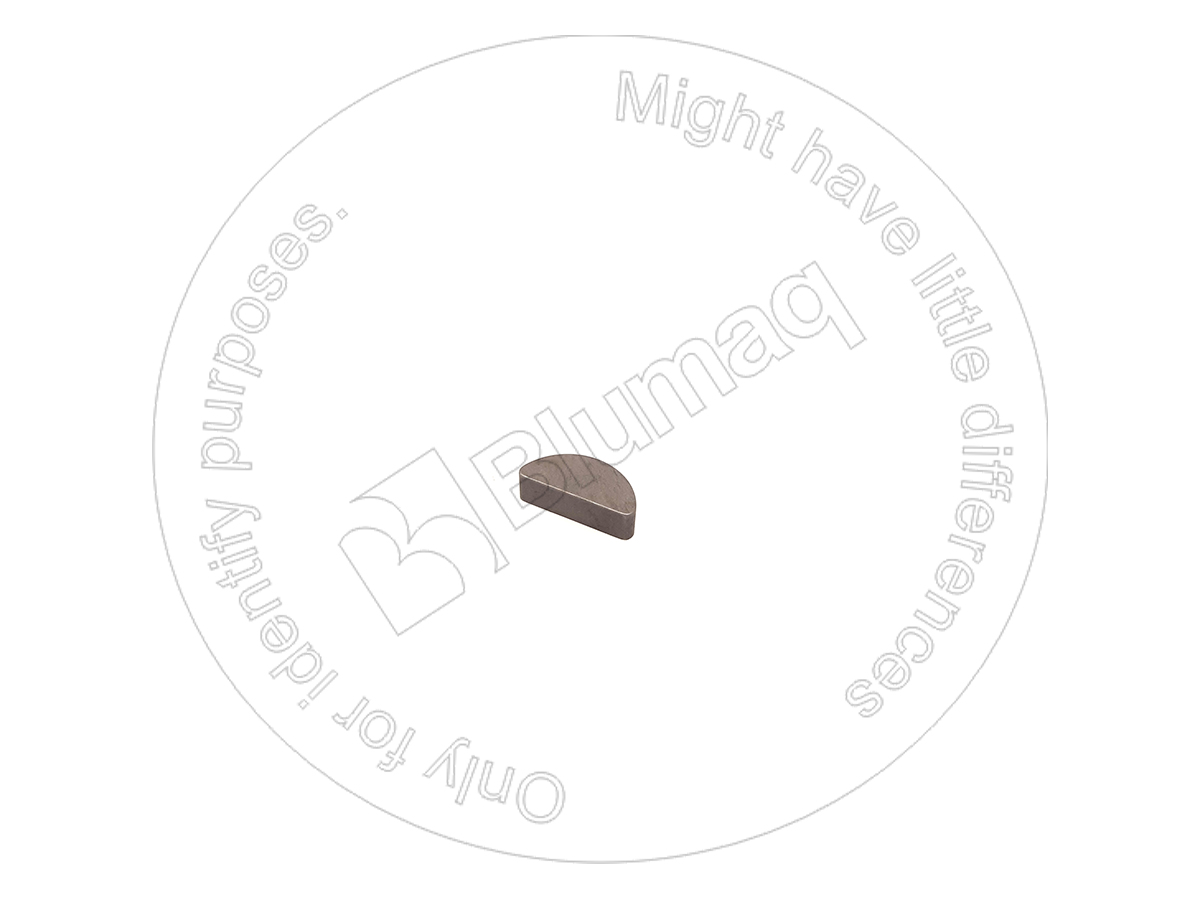 6810311120 ST ШПОНКА BLUMAQ