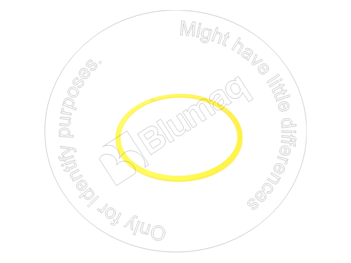 6J7693 ST КЛОЛЬЦО УПЛОТНИТЕЛЬНОЕ BLUMAQ