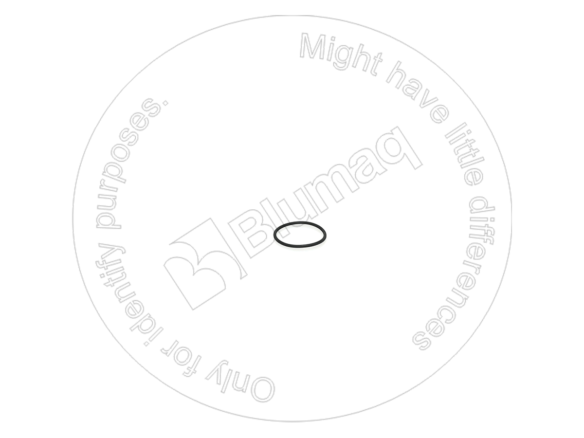 6V5597 ST КОЛЬЦО КРУГЛОГО СЕЧЕНИЯ BLUMAQ