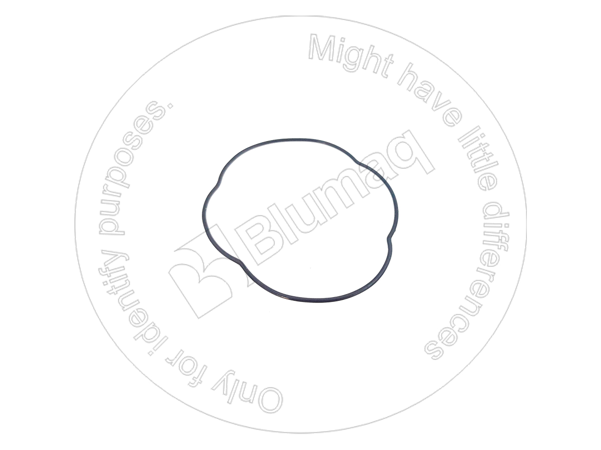 7051702480 ST КОЛЬЦО КРУГЛОГО СЕЧЕНИЯ BLUMAQ