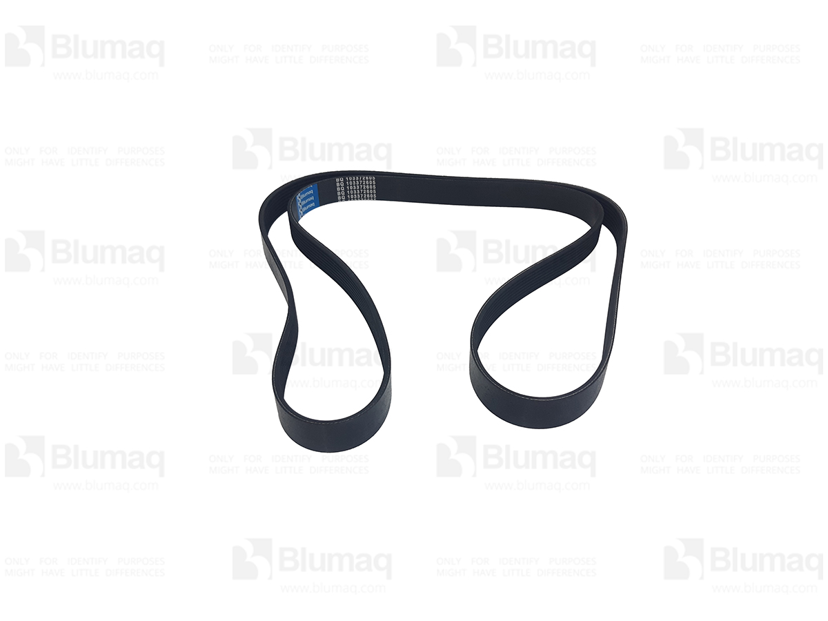 BEDC221528 BQ РЕМЕНЬ BLUMAQ