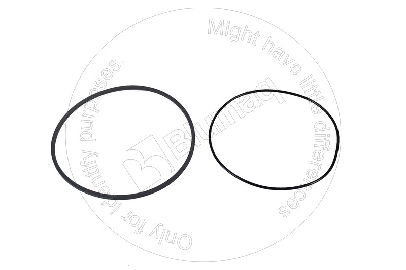 F03/31689 ST САЛЬНИК BLUMAQ