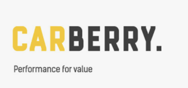 Логотип Инструменты CARBERRY