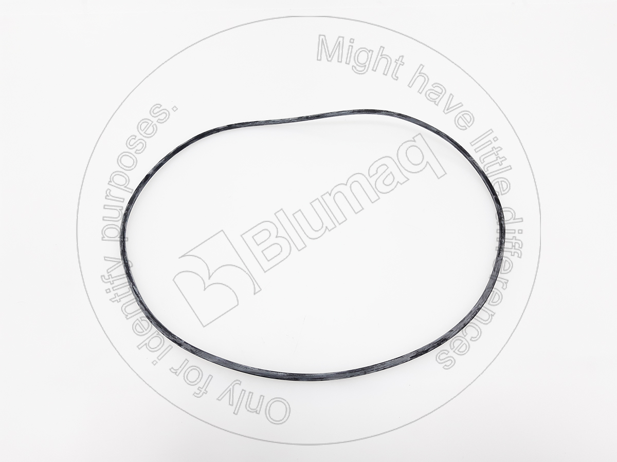 1W0115 OR УПЛОТНИТЕЛЬНОЕ КОЛЬЦО BLUMAQ