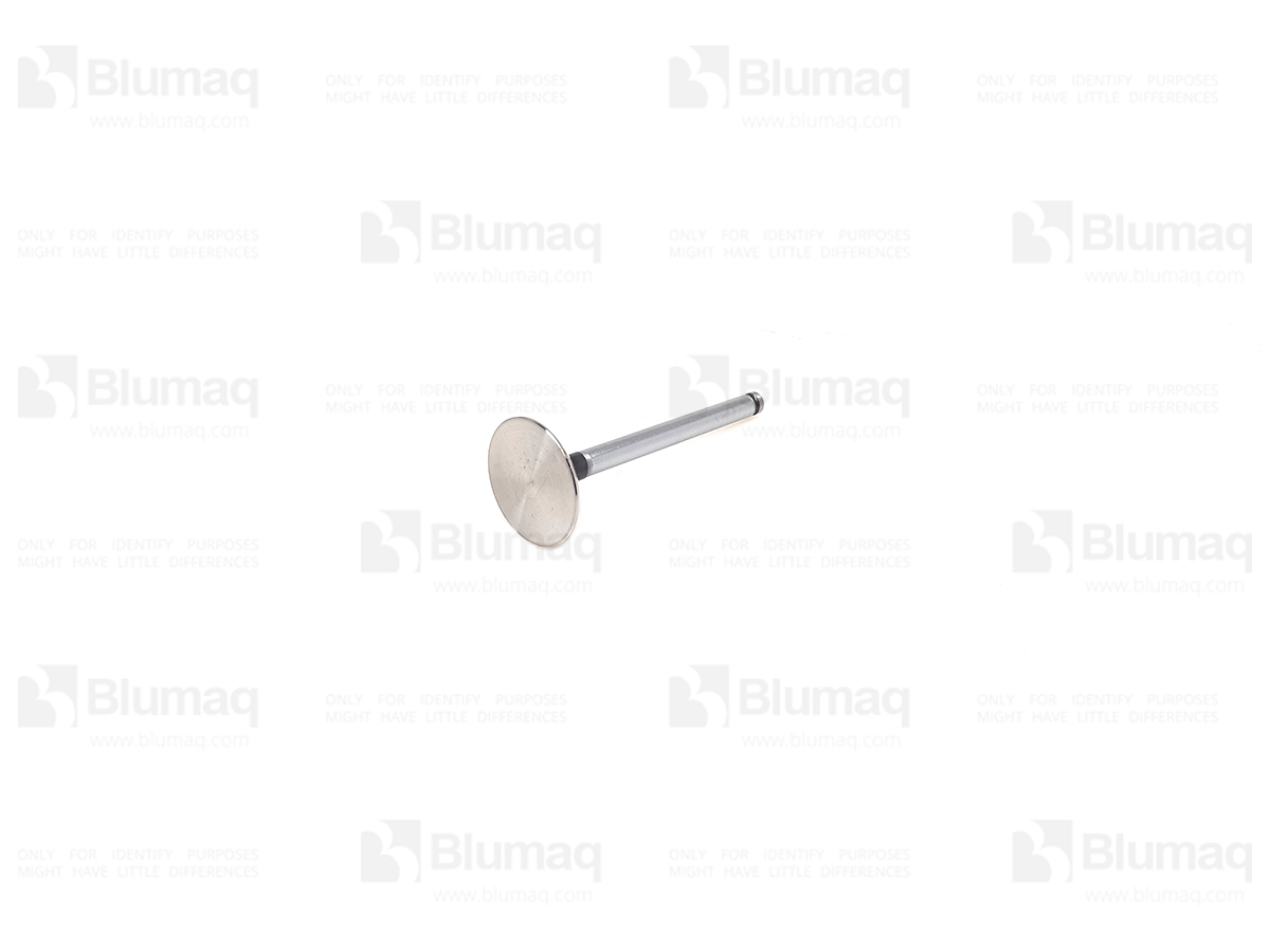 3142L071 OR КЛАПАН ВПУСКНОЙ BLUMAQ