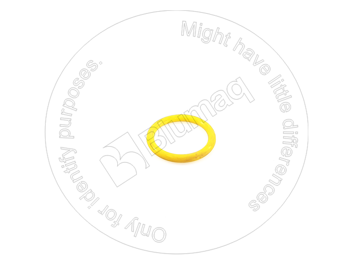 2S2181 OR УПЛОТНИТЕЛЬНОЕ КОЛЬЦО BLUMAQ